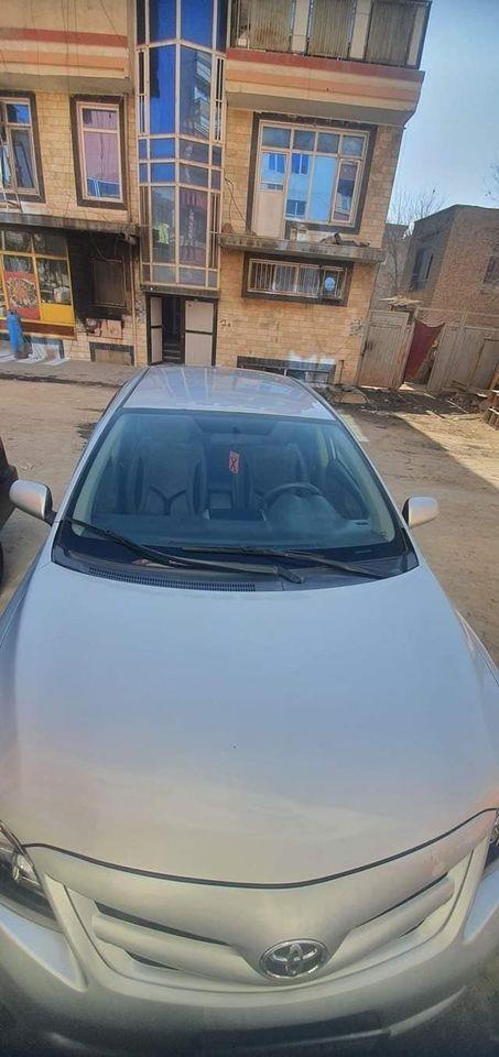 موتر