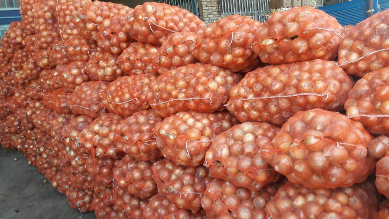 فروش-عمده-انواع-پیاز-و-سیر