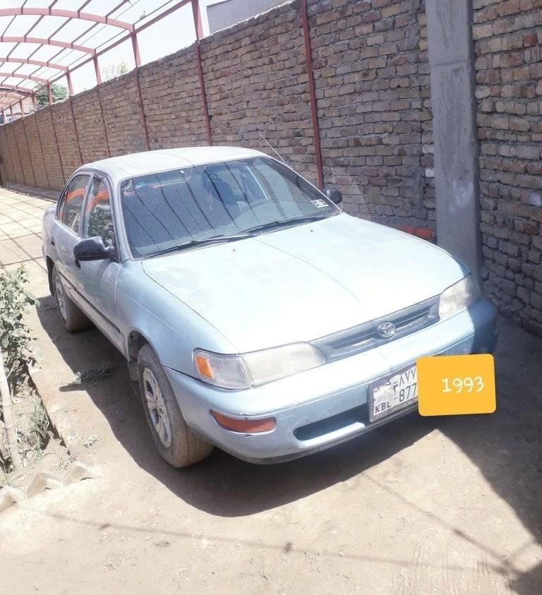 کرولا-کانادایی