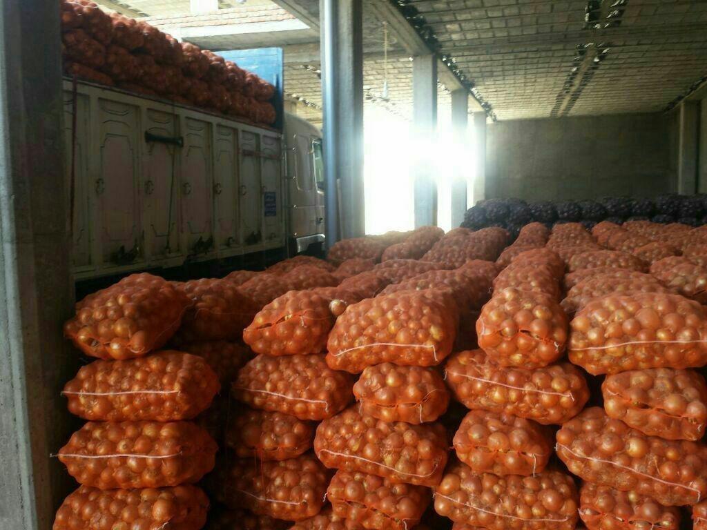 فروش-عمده-انواع-پیاز-و-سیر