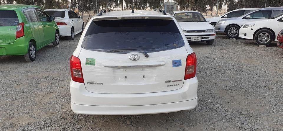 ايګزيو-فلډر-روغ