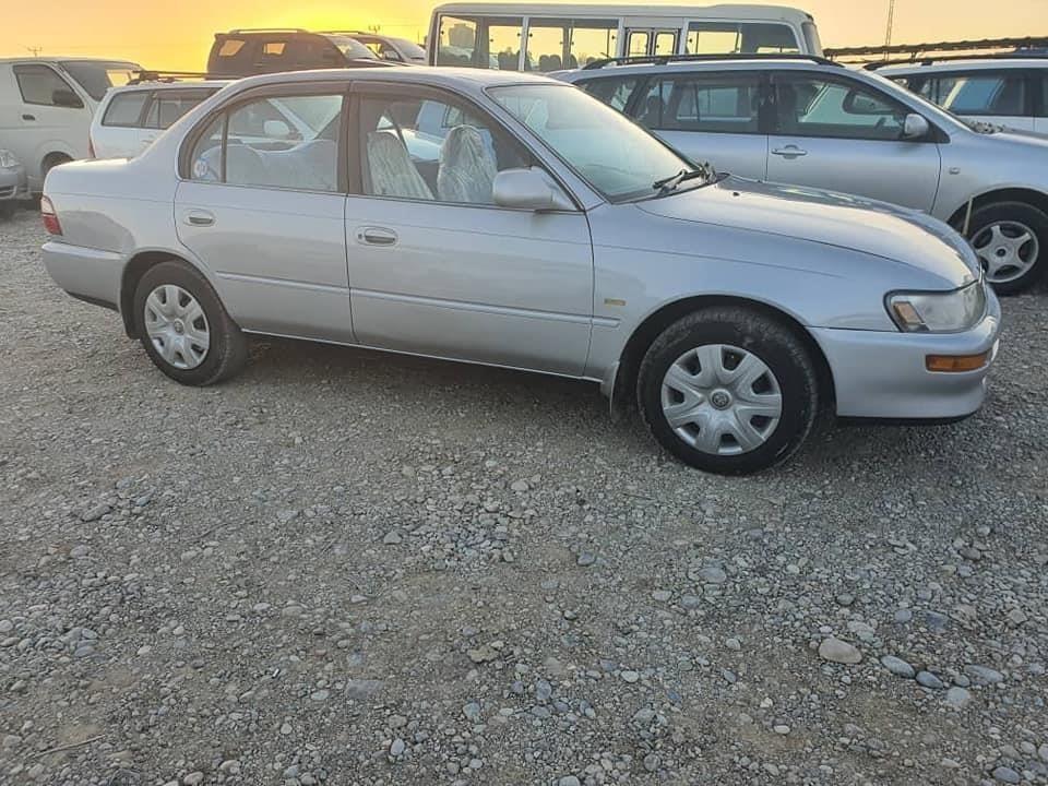 0708273835-1995-5A-0798419161