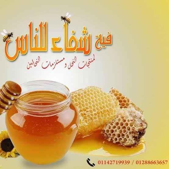 عسل-سدر-اصلي-100-