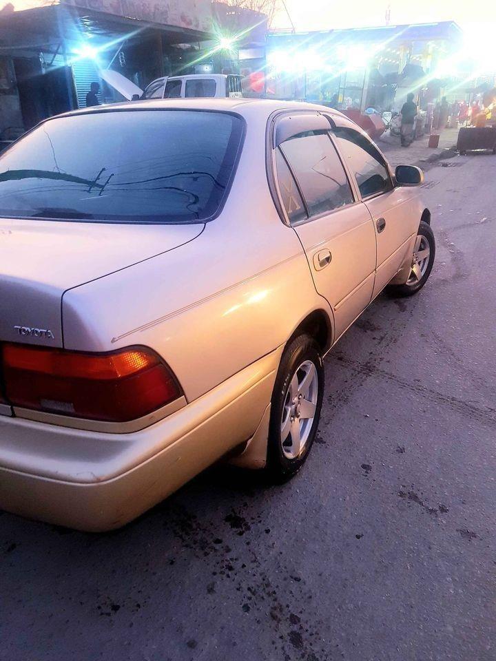 کرولایی