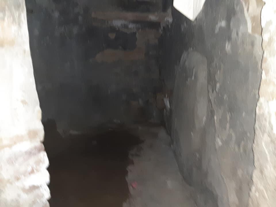 سلامونه