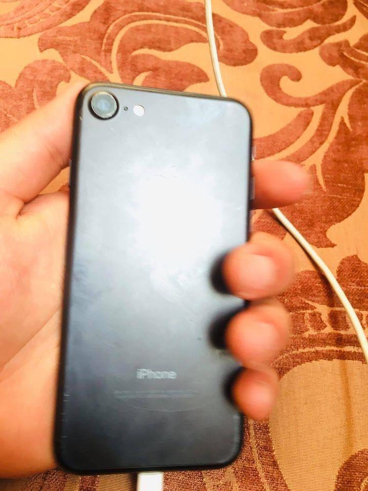 فروش-و-مالچه-0784132022