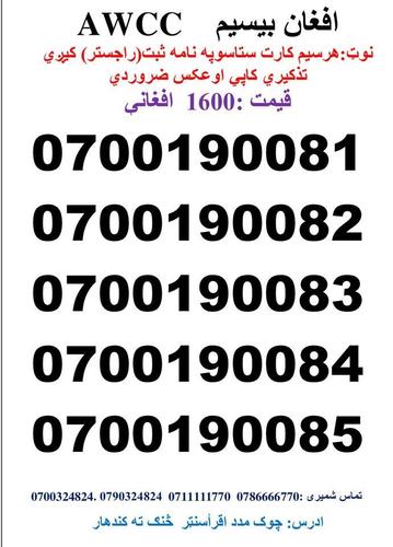 تماس شمیری: 0786666770 0711111770 وتسف نمبر : Whatsa
