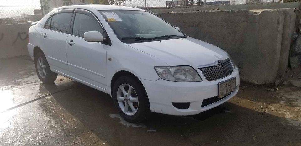 فروش-و-مالچه-0787469061