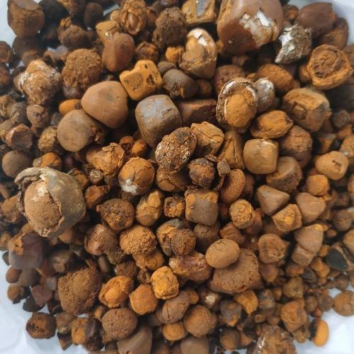 خریدار سنگ کیسه صفرا گاو