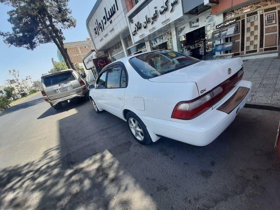 موتر-کرولا-کانادایی