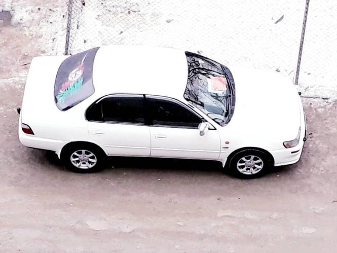 فروش عاجل یکعراده موتر چاپانی دست پاکستان