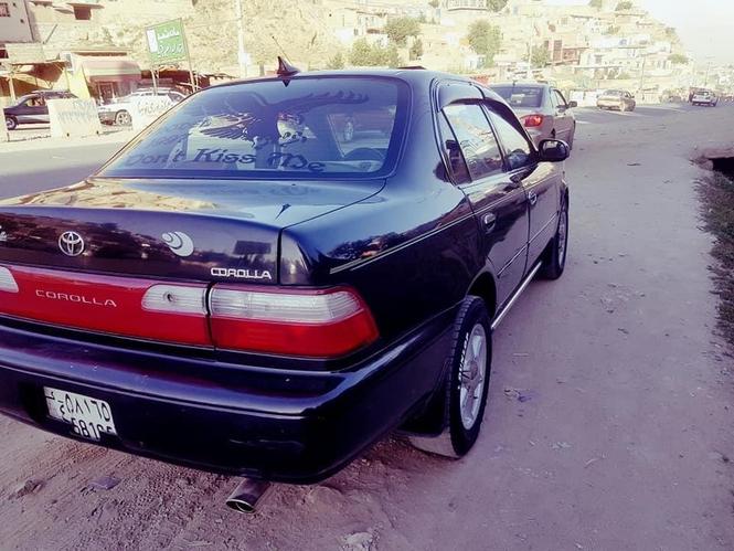 کرولایی کانادایی