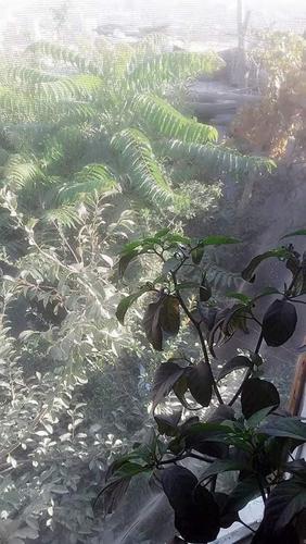خانه فروشی عاجل