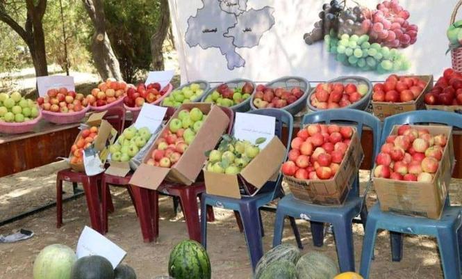 خرید از کشاورزان پروش بر تجاران