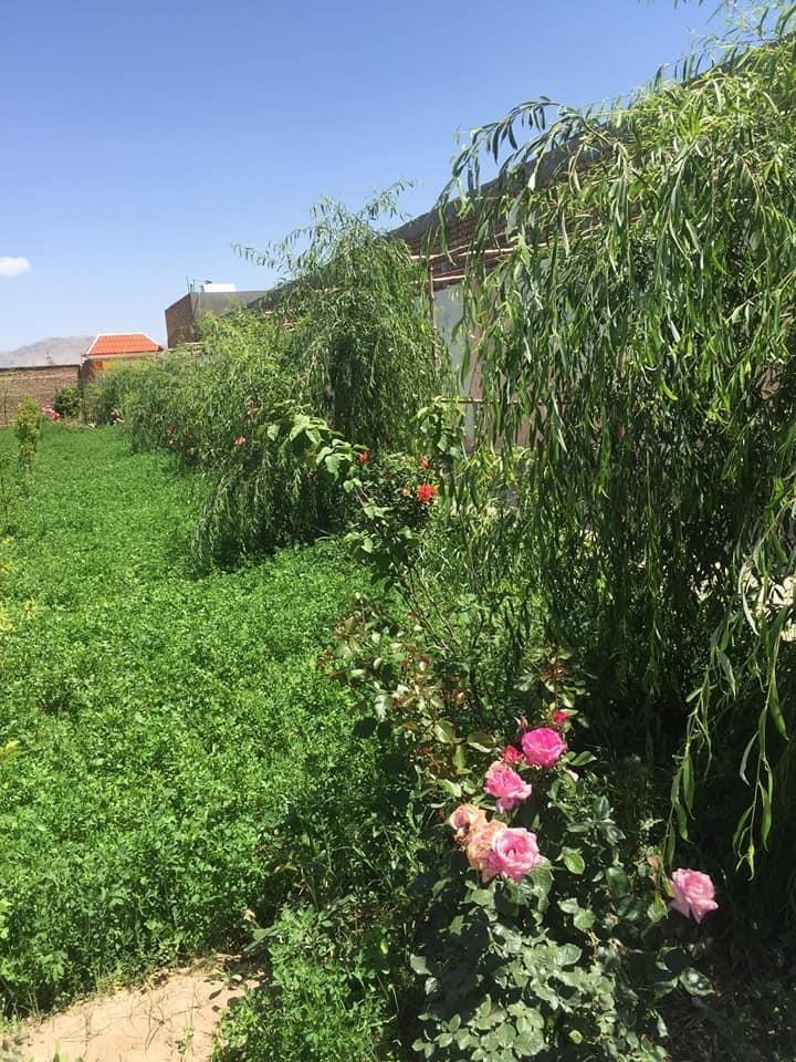 باغچه-فروشی