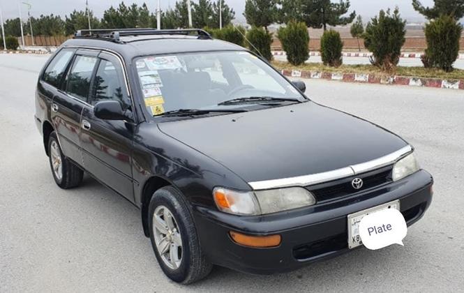 تیویتا سراچه کانادایی