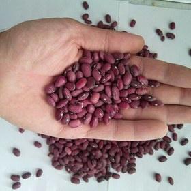 ناحیه پنجم. کوچه افشار.
