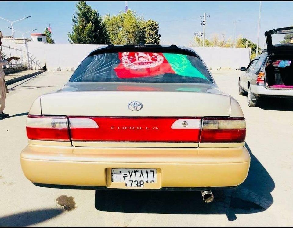 کرولا