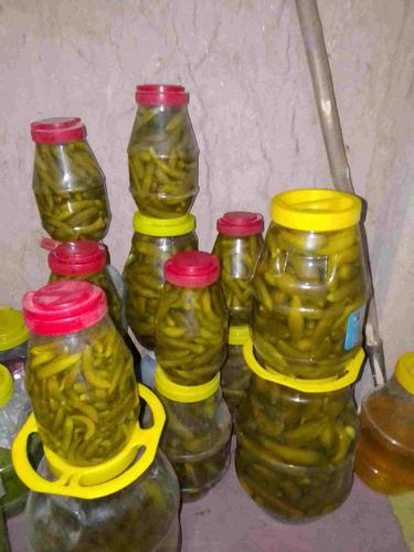 خیار شور های خانه گی با طعم دلپذیر