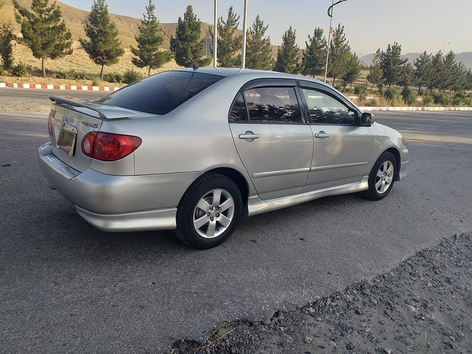 کرولا-کانادایی