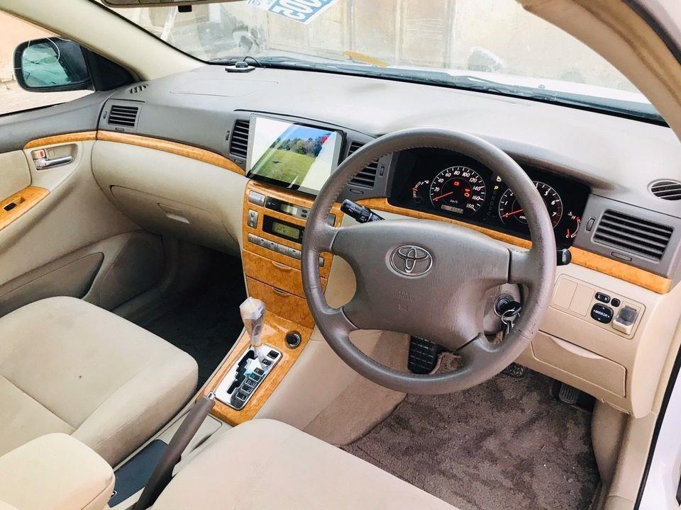 فروش-و-مالچه