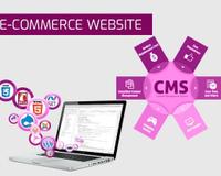 Professional IT services for your business needs