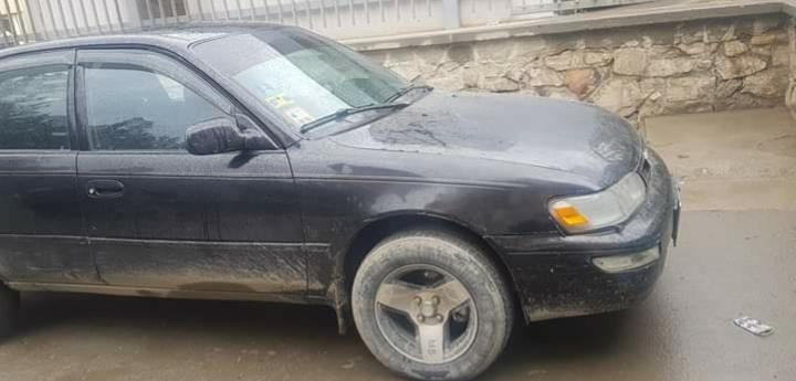 کرولای-کانادایی