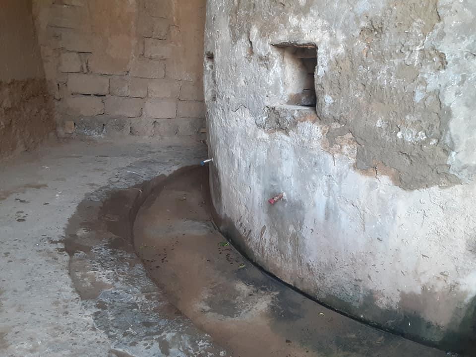 سلامونه