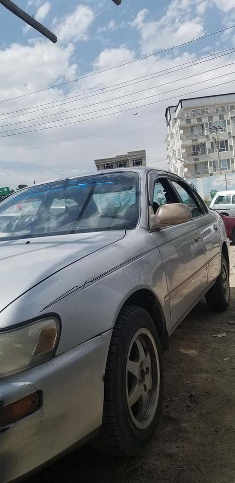 کرولای-خانگی