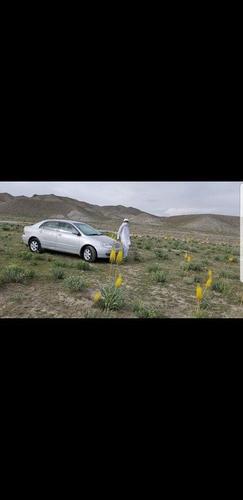 غلاشوی موتر ده خبردی یاست