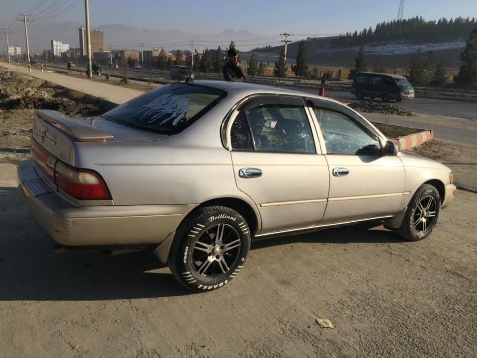 موتر