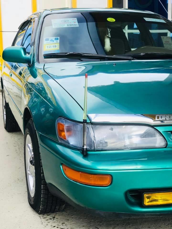 Corolla