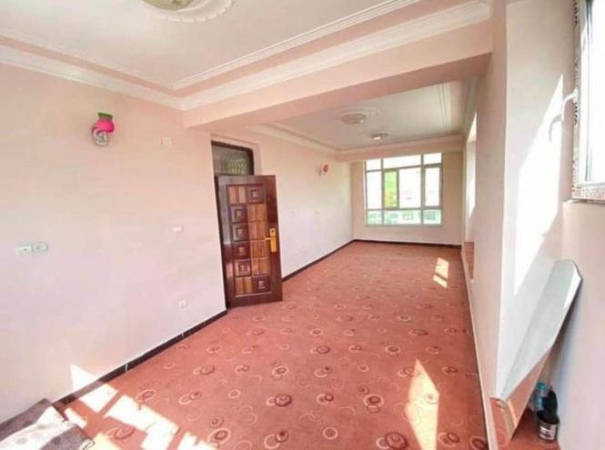 Property Rentals