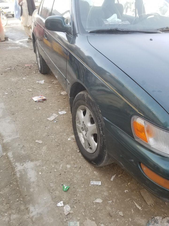 کورلا