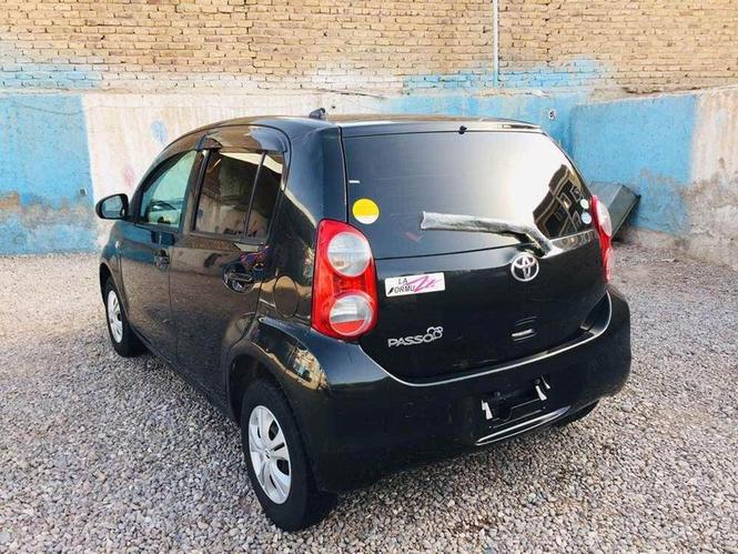 پاسو برای فروش و مالچه
