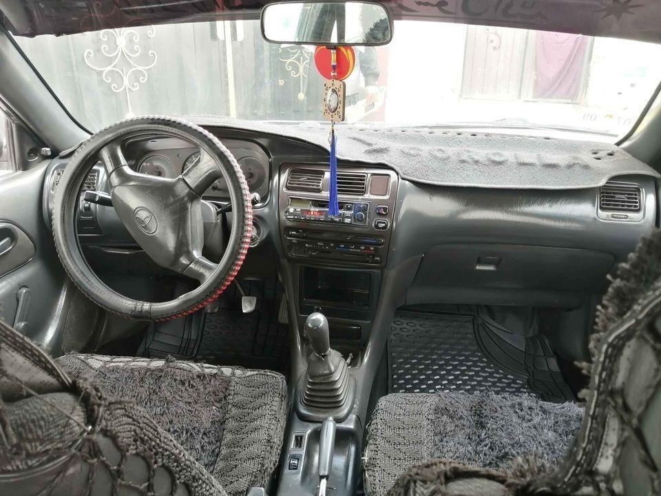0786515958فروش-و-مالچه