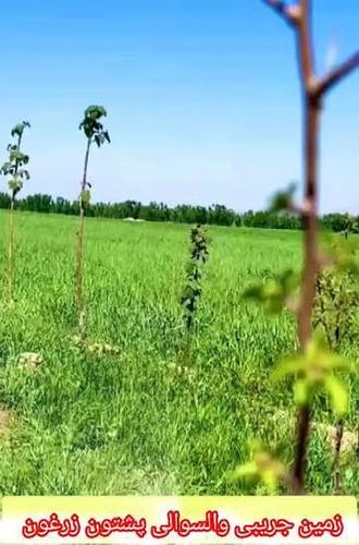 فقط ۲ جریب زمین آبیاری فقط برای شما ۵ لک افغانی