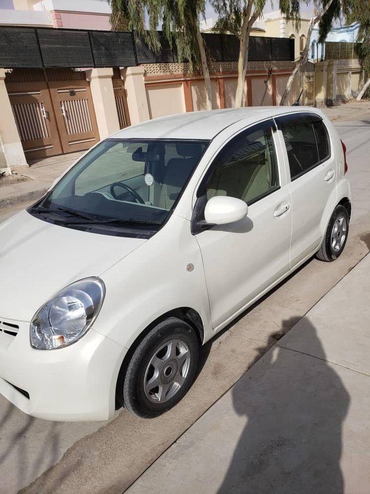 پاسو-ویش-کاټ-2010