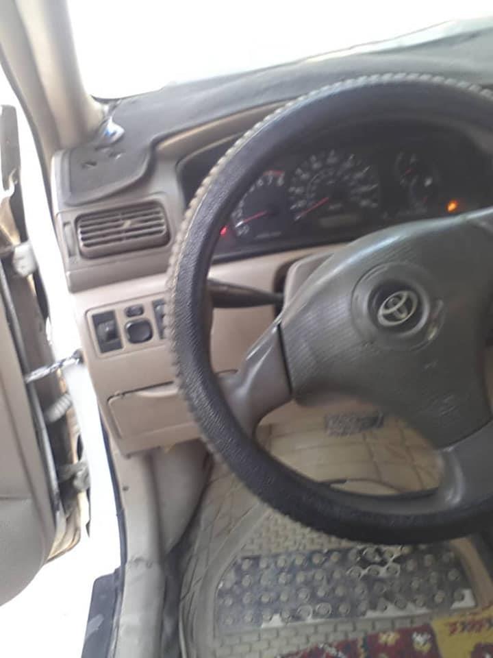 فروش-و-مالچه