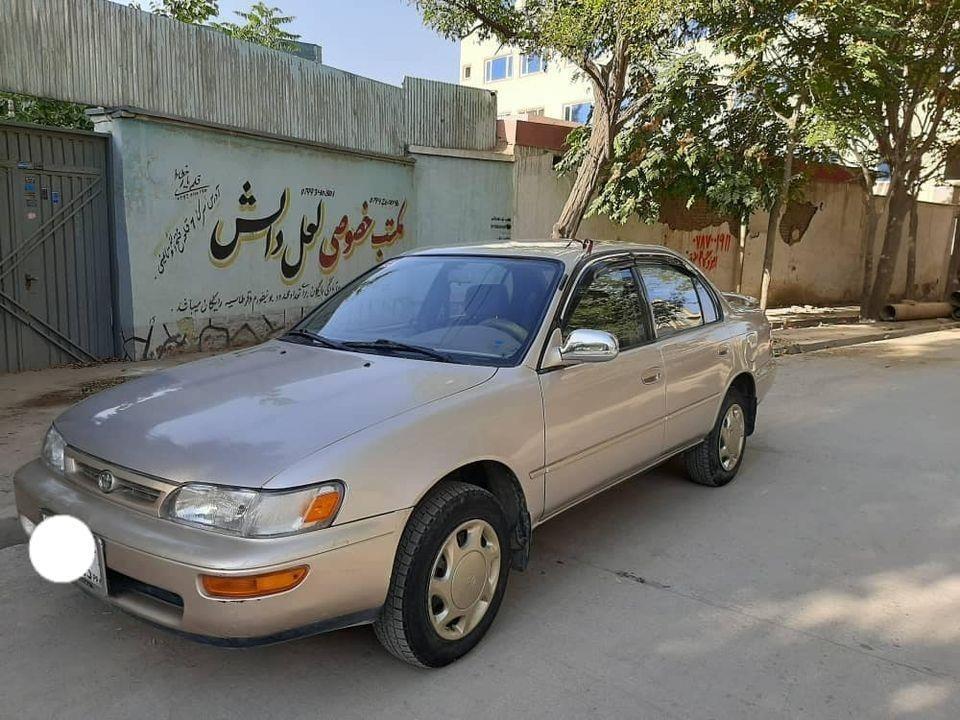 -کرولای-کانادایی-