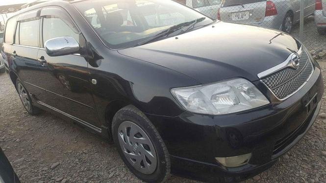 فیلدر 2005 چت کات نیمه فورتین