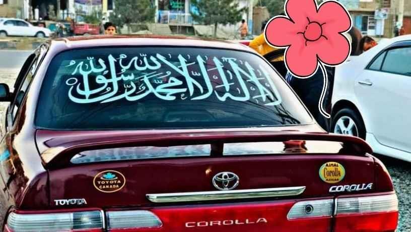 -کرولاى-کانادايى-