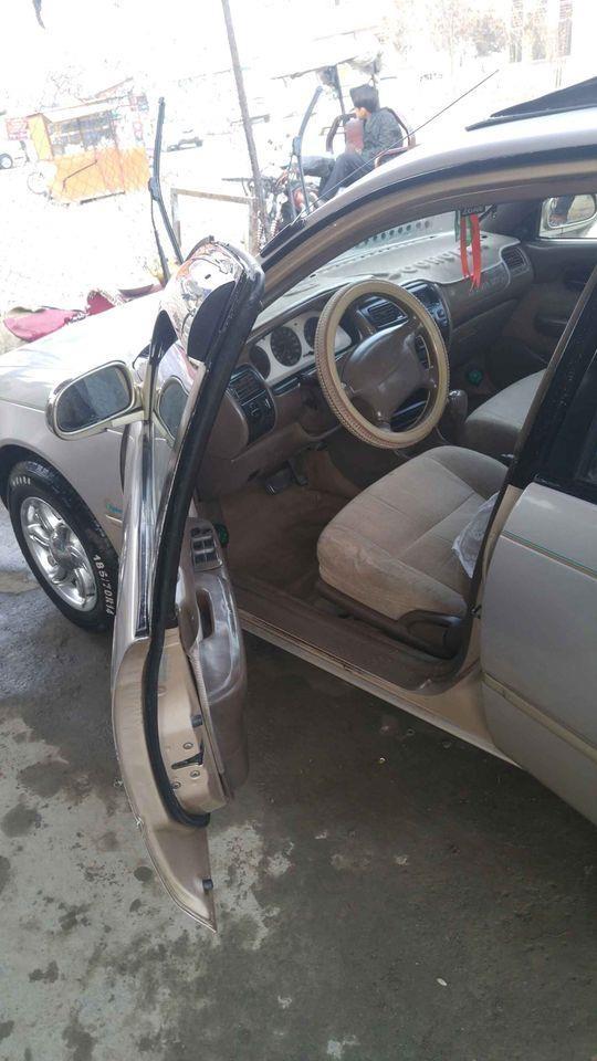 کورولا