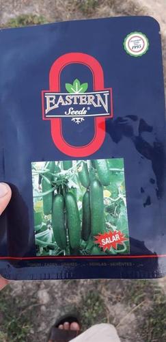 فروش بذر خیار گلخانه ای آدرین سالار