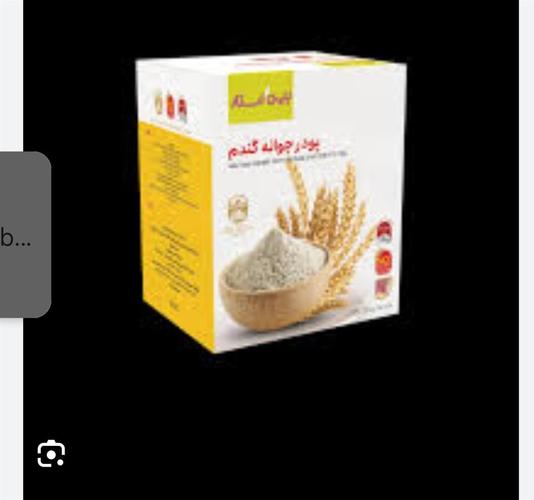 جوانه گندم
