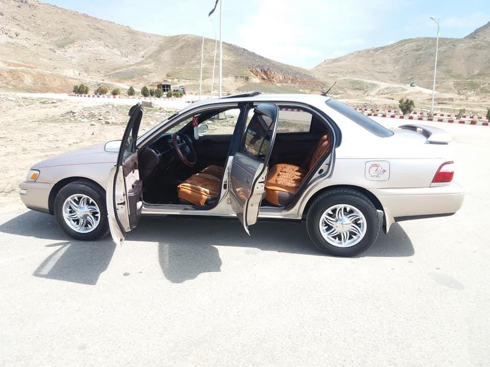 کانادایی-تپ-دار-0788989050
