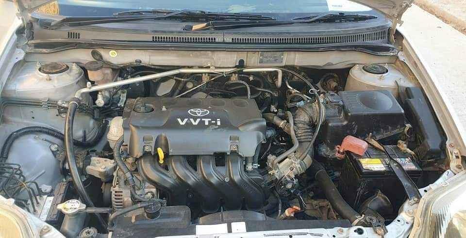 واټسف-------0748397836