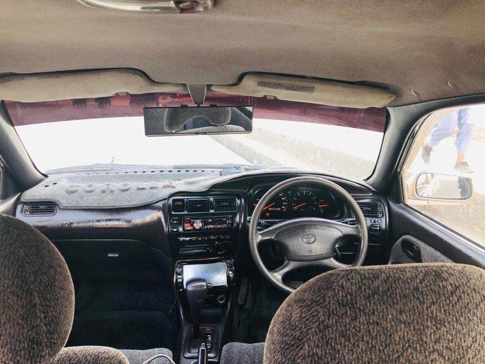 فروش-و-مالچه-0784059050