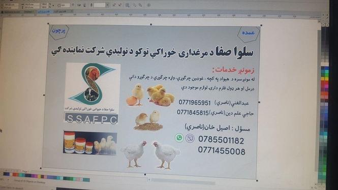 نوې زيرې فارم دار لپاره کابل او دہ افغانستان پہ ڰوڊ کٖ سلوا