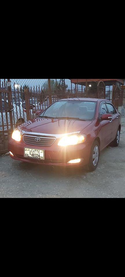 -فروش-مالچه-